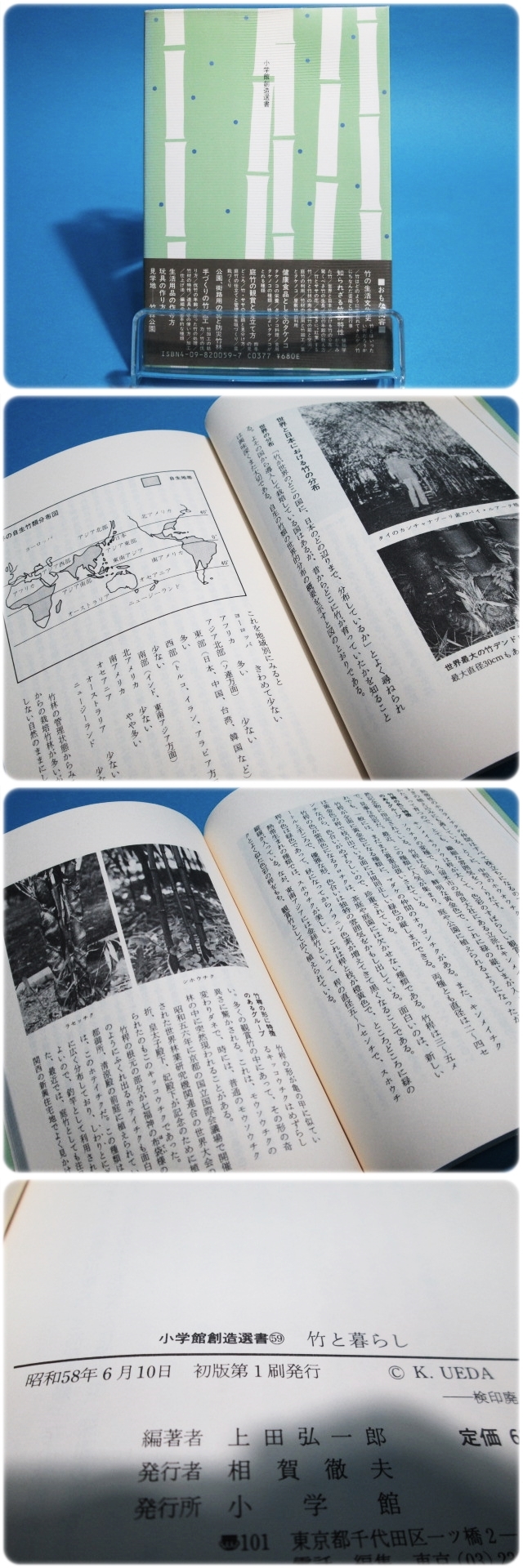 状态良/送料格安/竹と暮らし 上田弘一郎 小学馆/aa0448